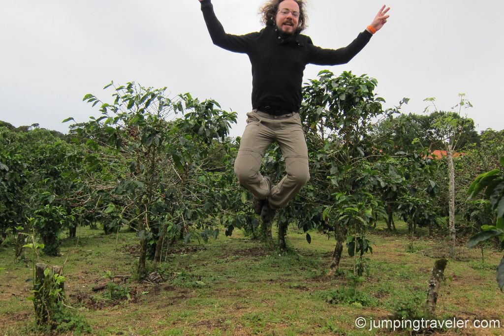 Image for Jumping in Monteverde Cloud Forest